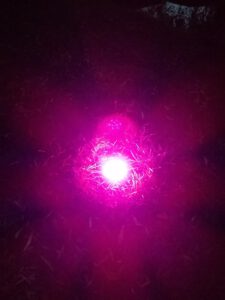 Scham verstehen – Scham (ver-)wandeln